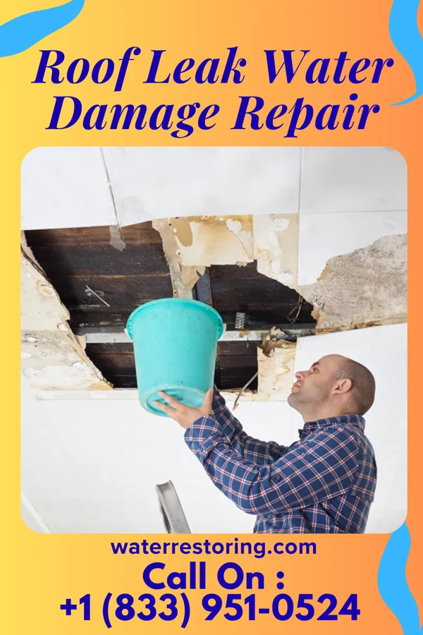 Roof Leak Water Damage Repair in Corn Creek, SD
